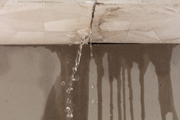 Professional Sewage Cleanup technician working in Ludington, MI